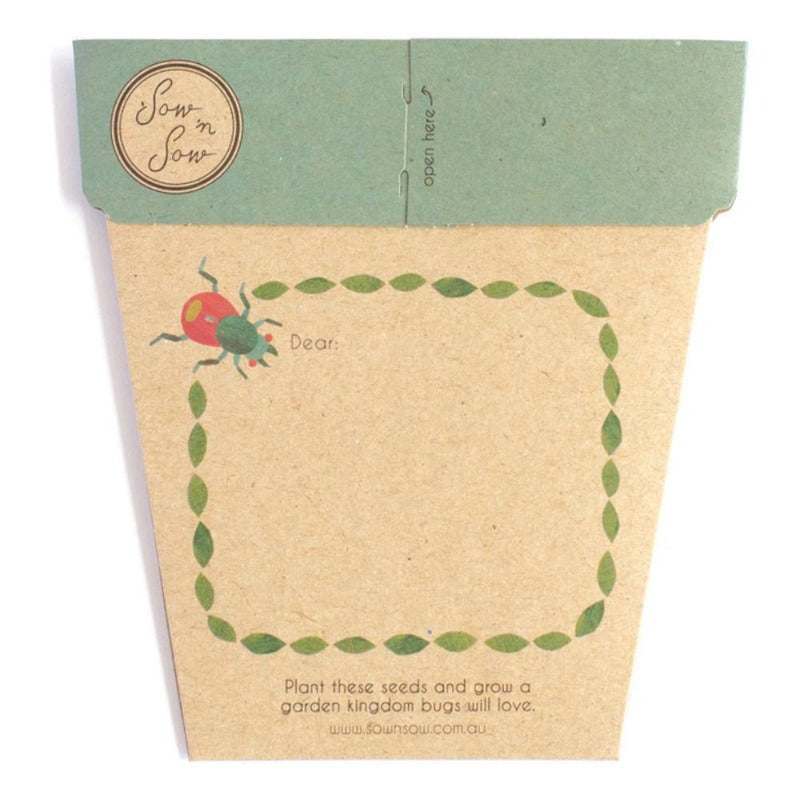 Sow n Sow - Bug Wonderland Gift of Seeds - Everybody Loves Hampers - eco friendly gifts, sustainable gifts, earth friendly gifts, environmentally friendly gifts