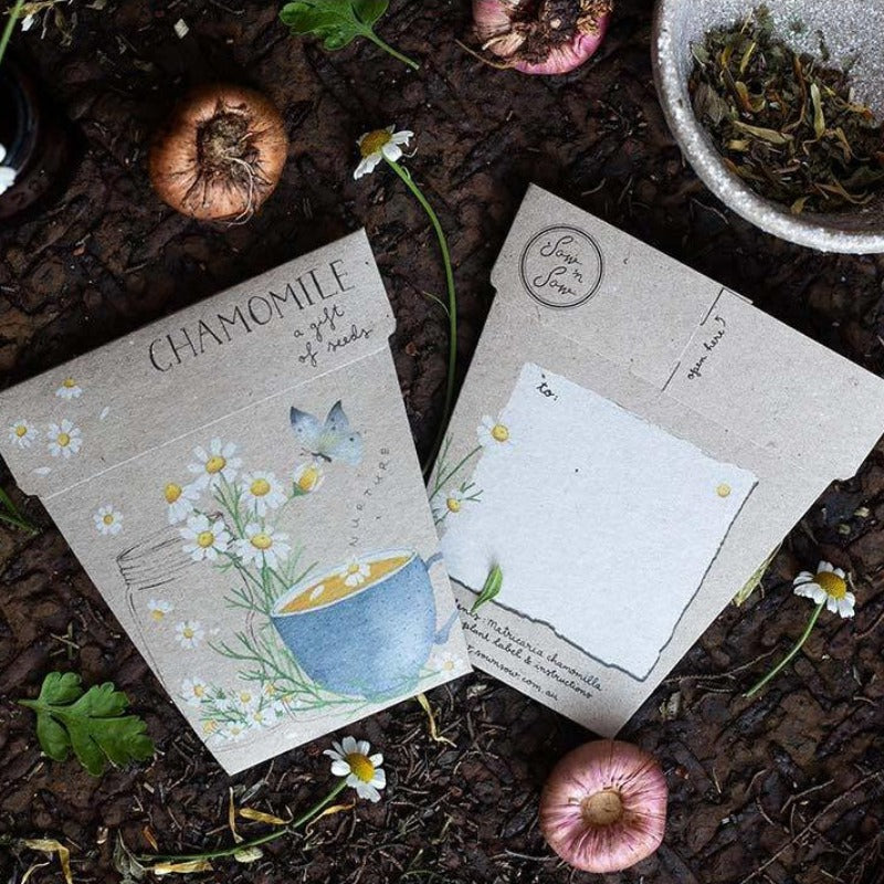 Sow n Sow - Chamomile Gift of Seeds - Everybody Loves Hampers - eco friendly gifts, sustainable gifts, earth friendly gifts, environmentally friendly gifts